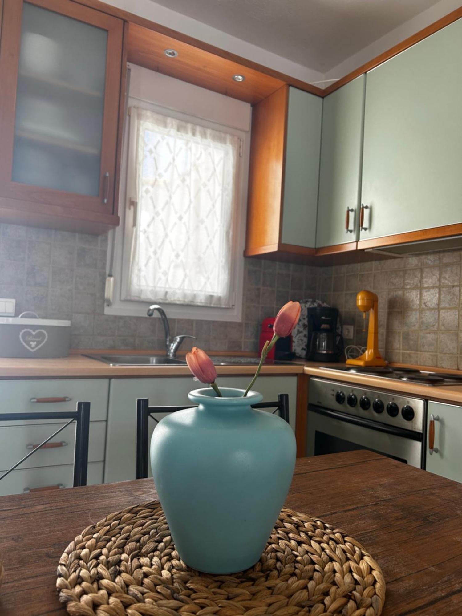 Perfect Hospitality - Elenas House, Nikitiヴィラ エクステリア 写真
